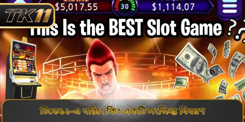 টিকে১১-এ বক্সিং কিং একটি সংক্ষিপ্ত বিবরণ